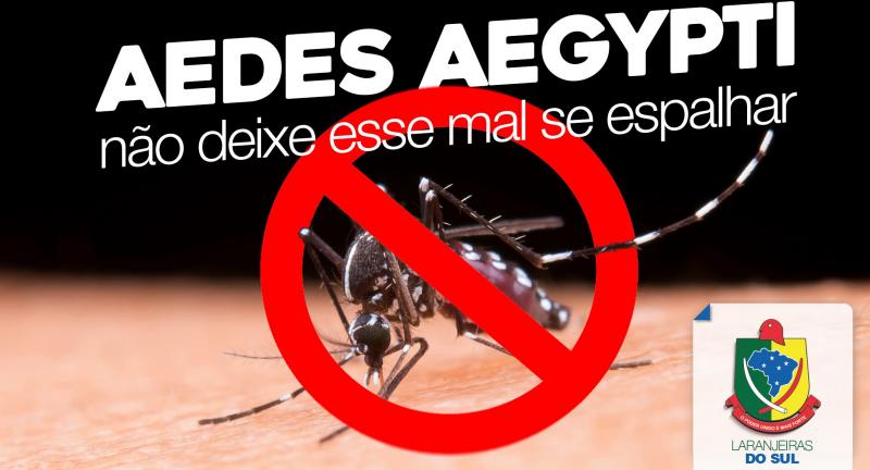 Vereadores alertam sobre cuidados contra o Aedes aegypti